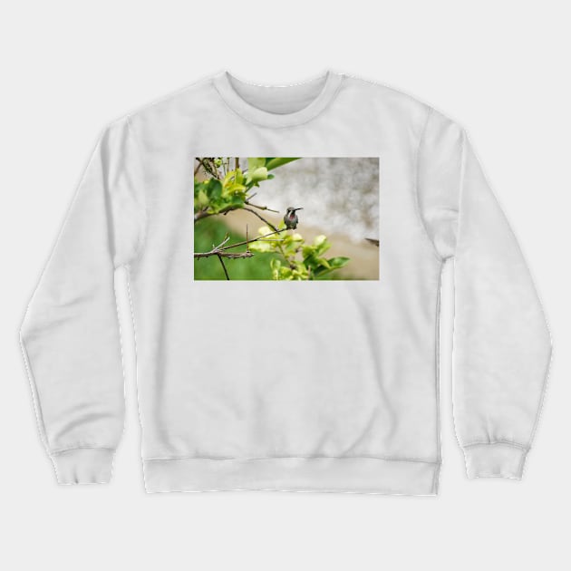 slb hummingbird Crewneck Sweatshirt by pcfyi